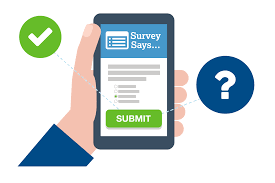 Online Surveys