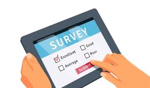 Online Surveys